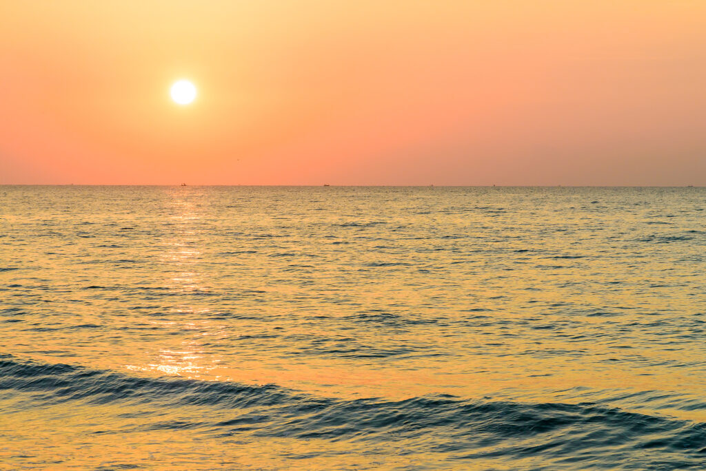 Taller Nuevos Propósitos 2026